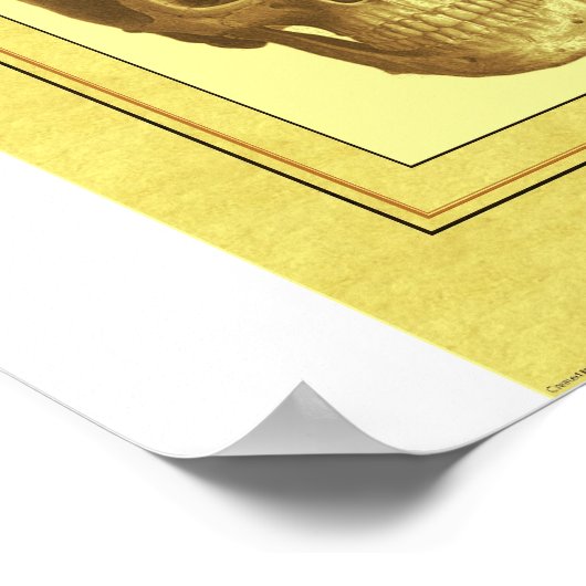 スカル ポスター (角)