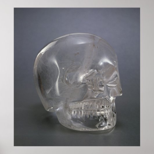 スカル ポスター (正面)