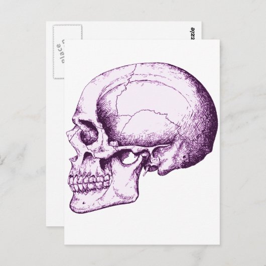 スカル ポストカード (正面/裏面)