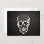 スカル ポストカード (正面/裏面)