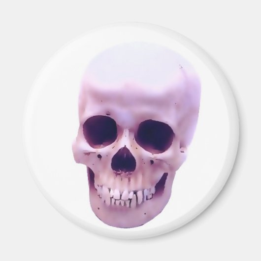 スカル マグネット (正面)