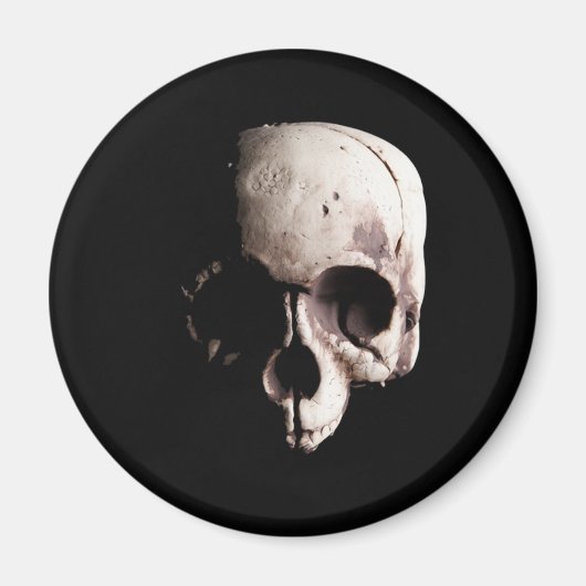 スカル マグネット (正面)