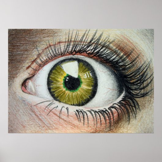 スカレディ・アイポスター ポスター (正面)