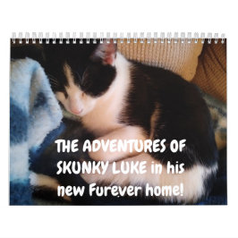 スカンキールークの冒険 カレンダー