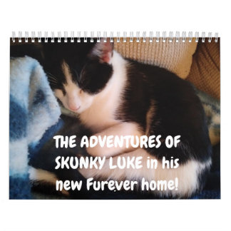 スカンキールークの冒険 カレンダー
