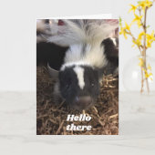 **スカンクがハッピーバースデー** カード (黄色い花)