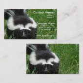 スカンクの写真の名刺 名刺 (正面/裏面)