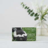 スカンクの写真の名刺 名刺 (スタンド正面)