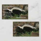 スカンクの行動の名刺 名刺 (正面/裏面)