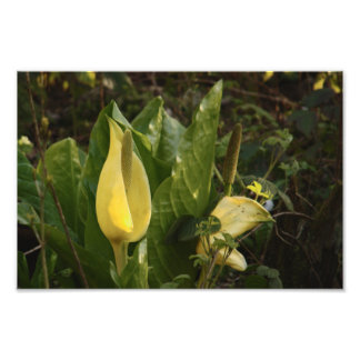 スカンクカバゲス フォトプリント           