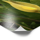 スカンクカバゲス フォトプリント            (角)