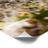 スカンクストライプのファーンログ フォトプリント            (角)