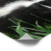 スカンクポスタープリント ポスター (角)