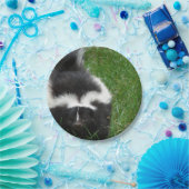 スカンク2 ペーパープレート (パーティー)