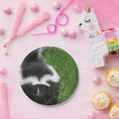 スカンク2 ペーパープレート (パーティー)