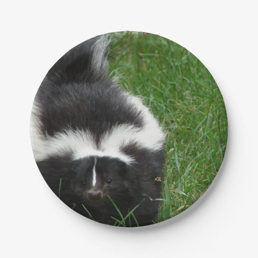 スカンク2 ペーパープレート (正面)