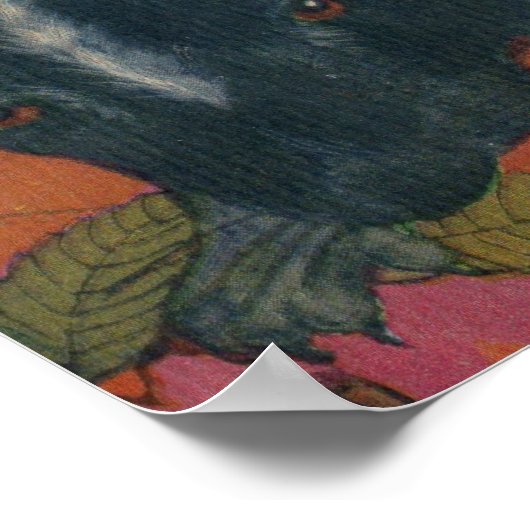 スカンク ポスター (角)