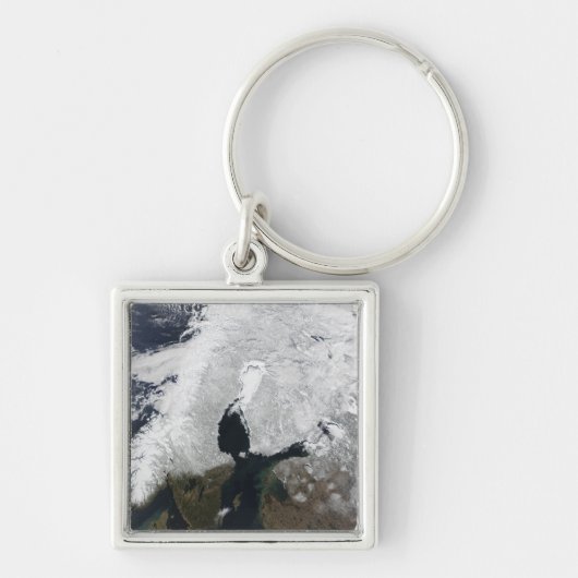 スカンジナビア キーホルダー (正面)