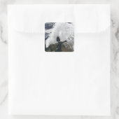 スカンジナビア スクエアシール (バッグ)