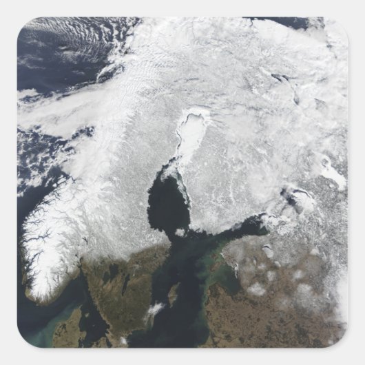 スカンジナビア スクエアシール (正面)