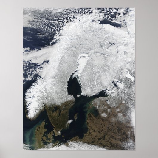 スカンジナビア ポスター (正面)