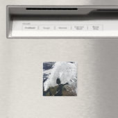 スカンジナビア マグネット (インサイチュ (食洗機))