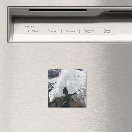 スカンジナビア マグネット (インサイチュ (食洗機))