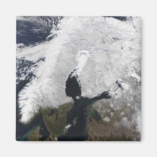 スカンジナビア マグネット (正面)