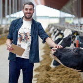 スカンジファームハウスキャトルカスタムス Tシャツ