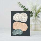 スカンジ開花No.317 ポストカード (スタンド正面)