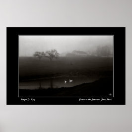 スカンマンファーム池ポスターの白鳥 ポスター