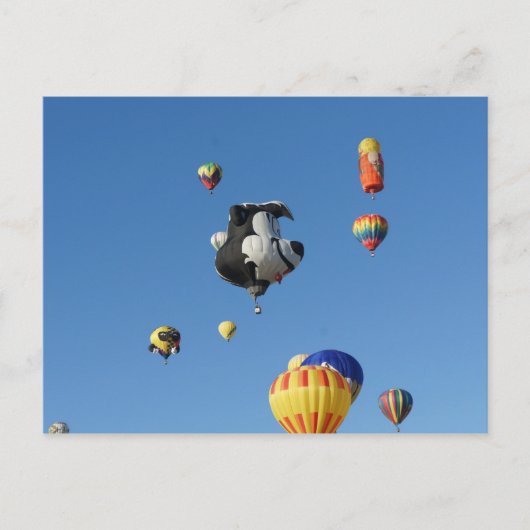 スカン飛んでいるク ポストカード (正面)