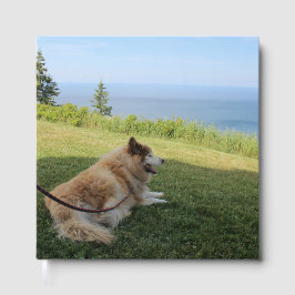 スカージングケープジョージ ゲストブック