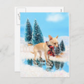 スカーフおよびスケートを持つおもしろいなチワワ シーズンポストカード (正面/裏面)