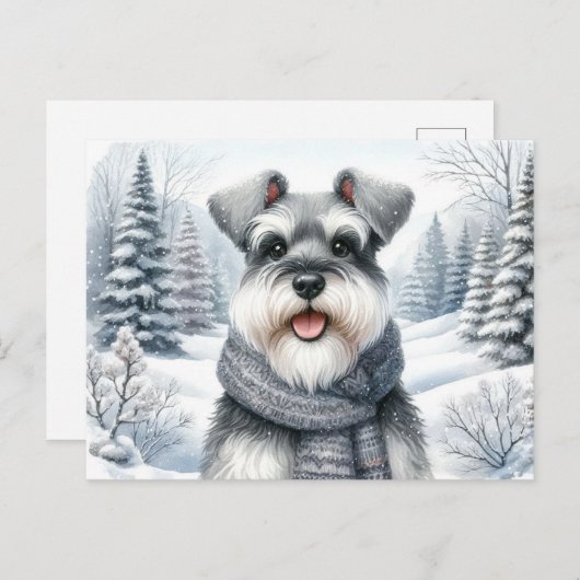 スカーフで冬のアートを楽しむシュノーザー ポストカード (正面/裏面)