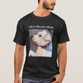 スカーフをおもしろい着た怠け犬の写真 Tシャツ (正面)