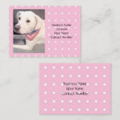 スカーフをスタイリッシュ巻いた美しい白犬の写真 名刺 (正面/裏面)