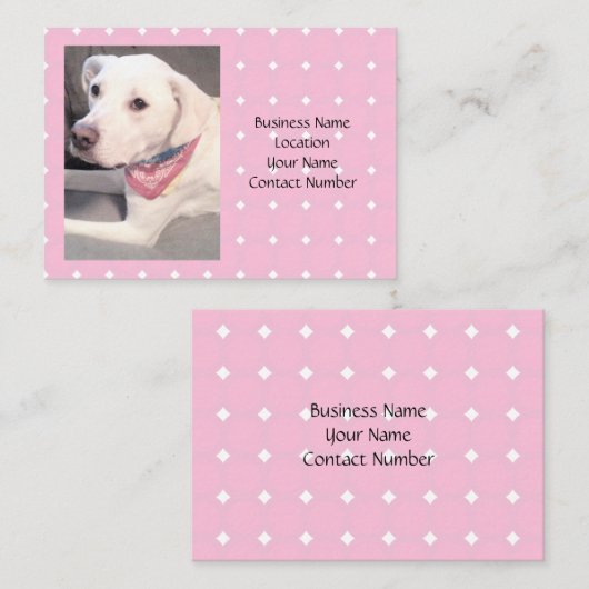 スカーフをスタイリッシュ巻いた美しい白犬の写真 名刺 (正面/裏面)