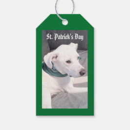 スカーフを着たかわいい子犬の緑と灰色のギフトT ギフトタグ