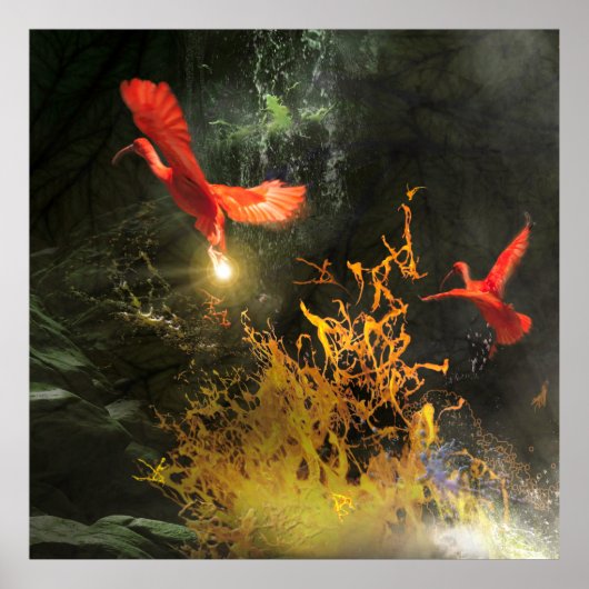 スカーレットアイビスの鳥たち「光を奪う」 ポスター (正面)