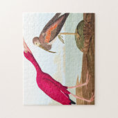 スカーレットイビスバイジョンジェームズオードゥボン ジグソーパズル (縦)