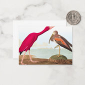 スカーレットイビスバイジョンジェームズオードゥボン ノートカード (正面/裏面インサイチュ)