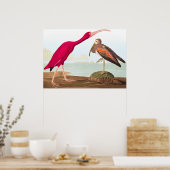 スカーレットイビスバイジョンジェームズオードゥボン ポスター (キッチン)