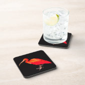 スカーレットイビス コースター (右側)