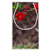 スカーレットトップ スモールペーパーバッグ (裏面)