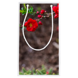 スカーレットトップ スモールペーパーバッグ