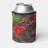 スカーレットトップ 缶クーラー (缶裏面)