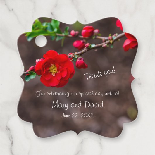 スカーレットト結婚ップ フェイバータグ (正面)