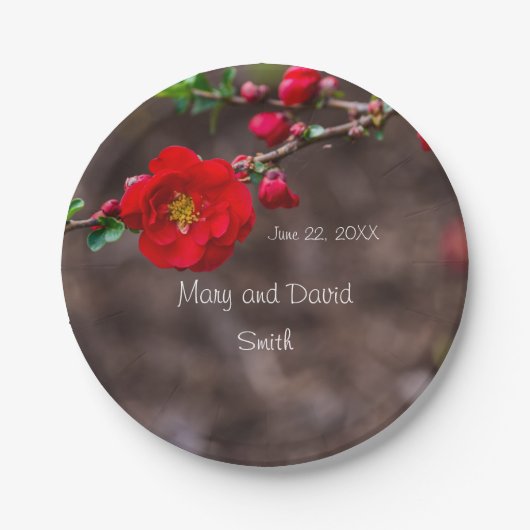 スカーレットト結婚ップ ペーパープレート (正面)