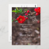 スカーレットト結婚ップ ポストカード (正面/裏面)